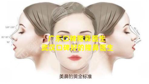 广东口碑隆鼻医生 武汉口碑好的隆鼻医生